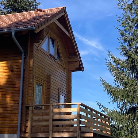 Chalet Authentique Au Calme, En Lisiere De Foret, Montagne, Sentiers 15Mn Gerardmer & Alsace "Chalet Mon Beau Sapin" Anould Ngoại thất bức ảnh