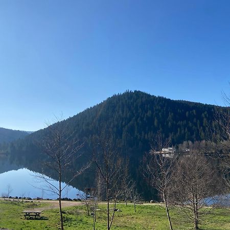 Chalet Authentique Au Calme, En Lisiere De Foret, Montagne, Sentiers 15Mn Gerardmer & Alsace "Chalet Mon Beau Sapin" Anould Ngoại thất bức ảnh