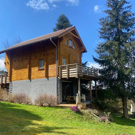 Chalet Authentique Au Calme, En Lisiere De Foret, Montagne, Sentiers 15Mn Gerardmer & Alsace "Chalet Mon Beau Sapin" Anould Ngoại thất bức ảnh