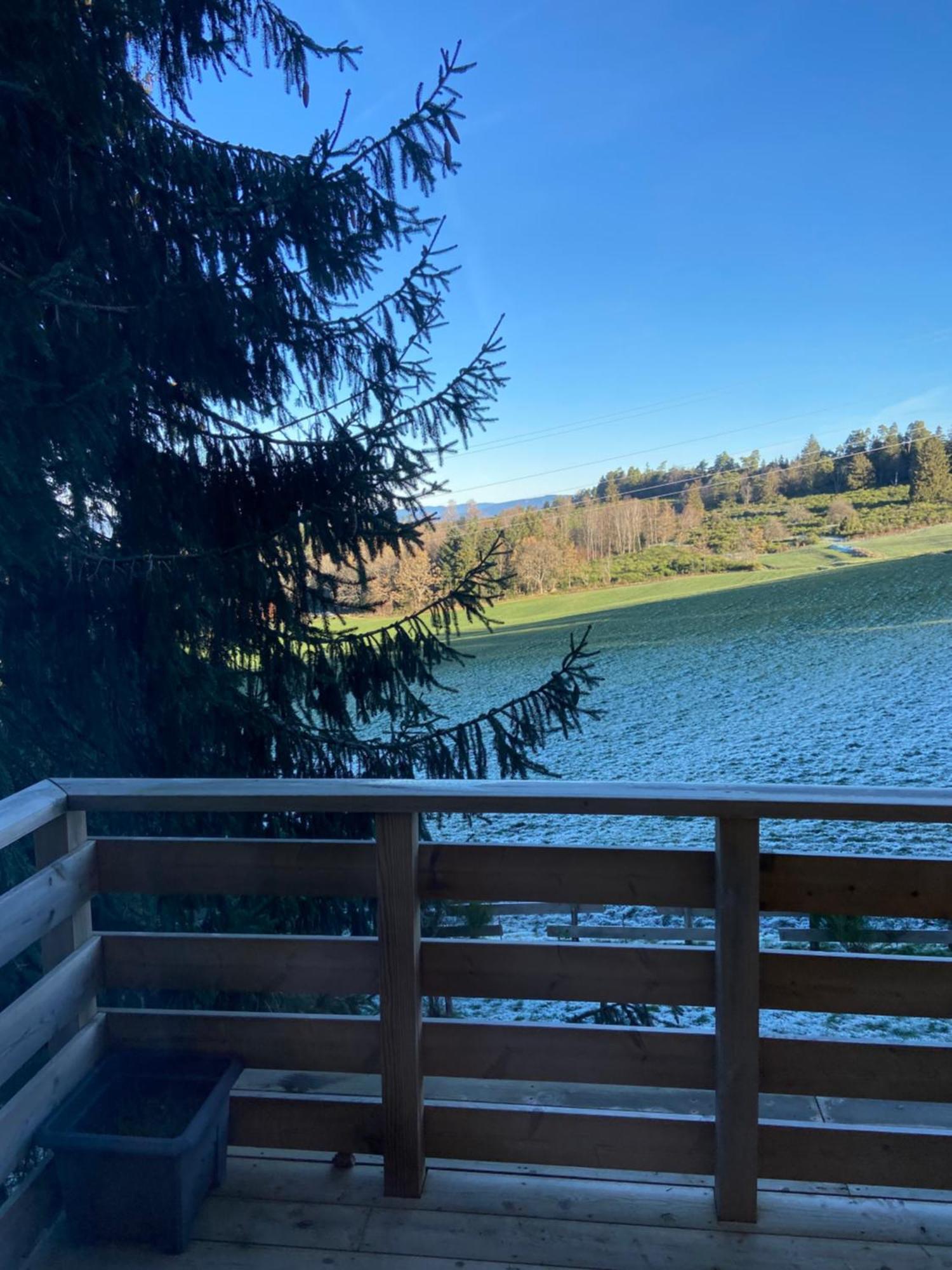 Chalet Authentique Au Calme, En Lisiere De Foret, Montagne, Sentiers 15Mn Gerardmer & Alsace "Chalet Mon Beau Sapin" Anould Ngoại thất bức ảnh