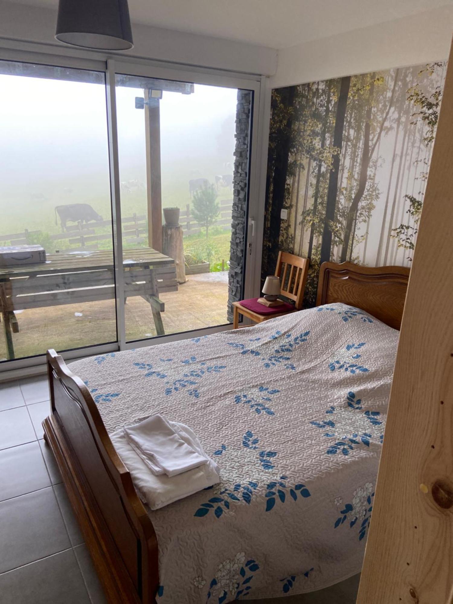 Chalet Authentique Au Calme, En Lisiere De Foret, Montagne, Sentiers 15Mn Gerardmer & Alsace "Chalet Mon Beau Sapin" Anould Ngoại thất bức ảnh