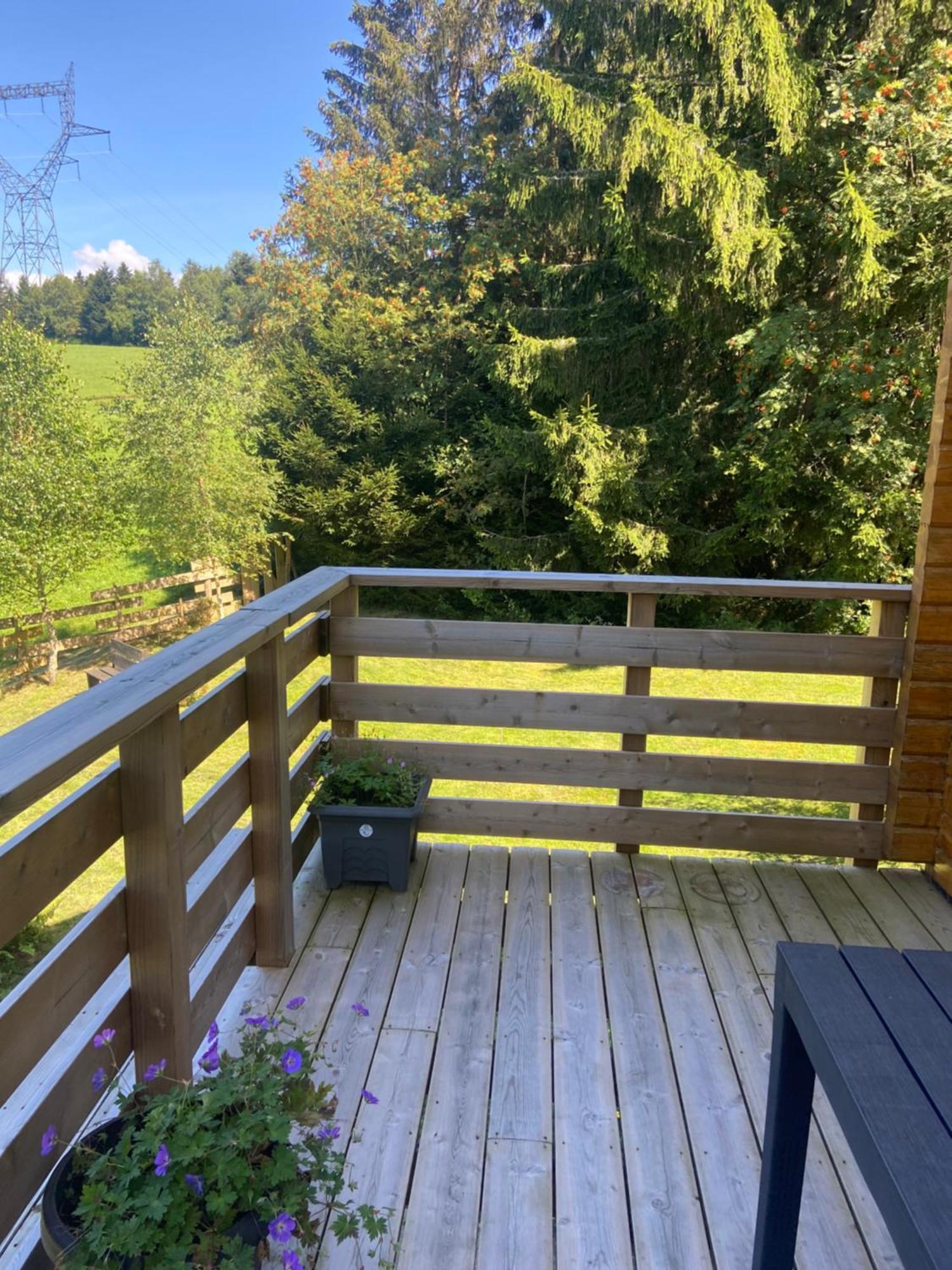 Chalet Authentique Au Calme, En Lisiere De Foret, Montagne, Sentiers 15Mn Gerardmer & Alsace "Chalet Mon Beau Sapin" Anould Ngoại thất bức ảnh