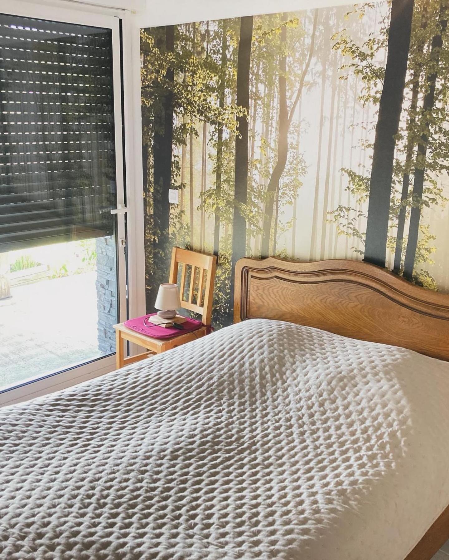 Chalet Authentique Au Calme, En Lisiere De Foret, Montagne, Sentiers 15Mn Gerardmer & Alsace "Chalet Mon Beau Sapin" Anould Ngoại thất bức ảnh