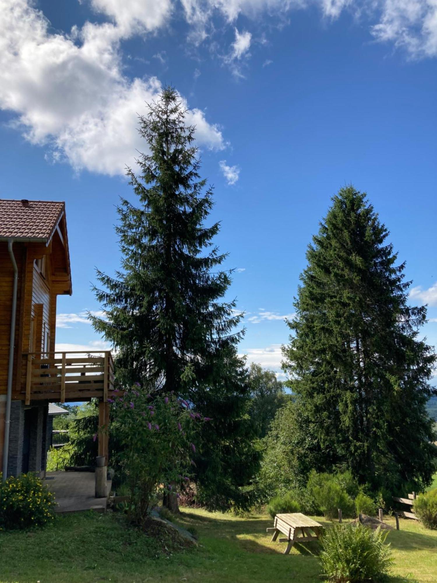 Chalet Authentique Au Calme, En Lisiere De Foret, Montagne, Sentiers 15Mn Gerardmer & Alsace "Chalet Mon Beau Sapin" Anould Ngoại thất bức ảnh