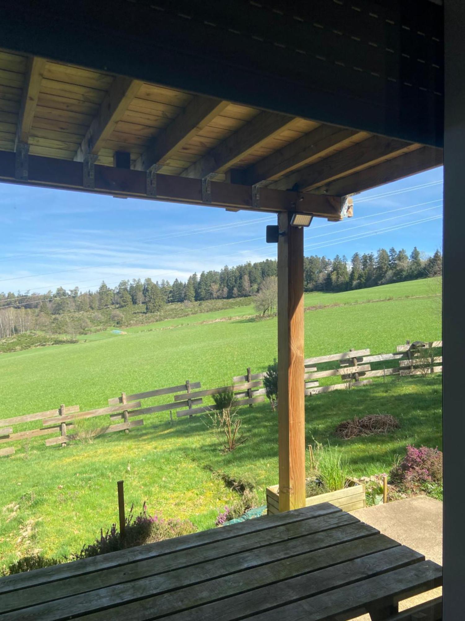 Chalet Authentique Au Calme, En Lisiere De Foret, Montagne, Sentiers 15Mn Gerardmer & Alsace "Chalet Mon Beau Sapin" Anould Ngoại thất bức ảnh