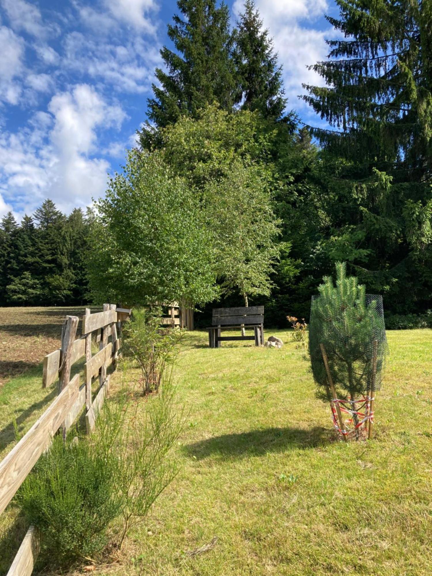 Chalet Authentique Au Calme, En Lisiere De Foret, Montagne, Sentiers 15Mn Gerardmer & Alsace "Chalet Mon Beau Sapin" Anould Ngoại thất bức ảnh