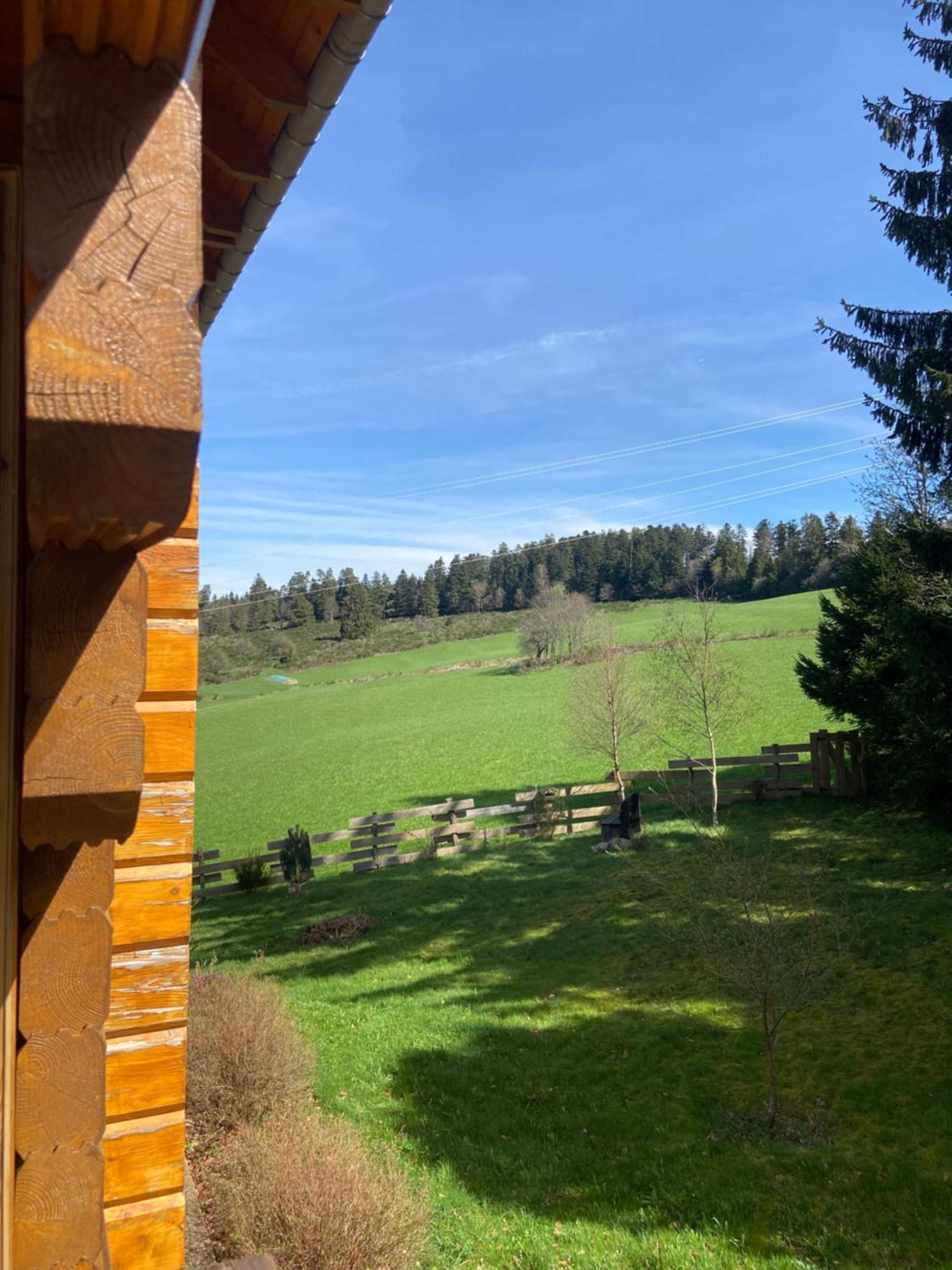 Chalet Authentique Au Calme, En Lisiere De Foret, Montagne, Sentiers 15Mn Gerardmer & Alsace "Chalet Mon Beau Sapin" Anould Ngoại thất bức ảnh