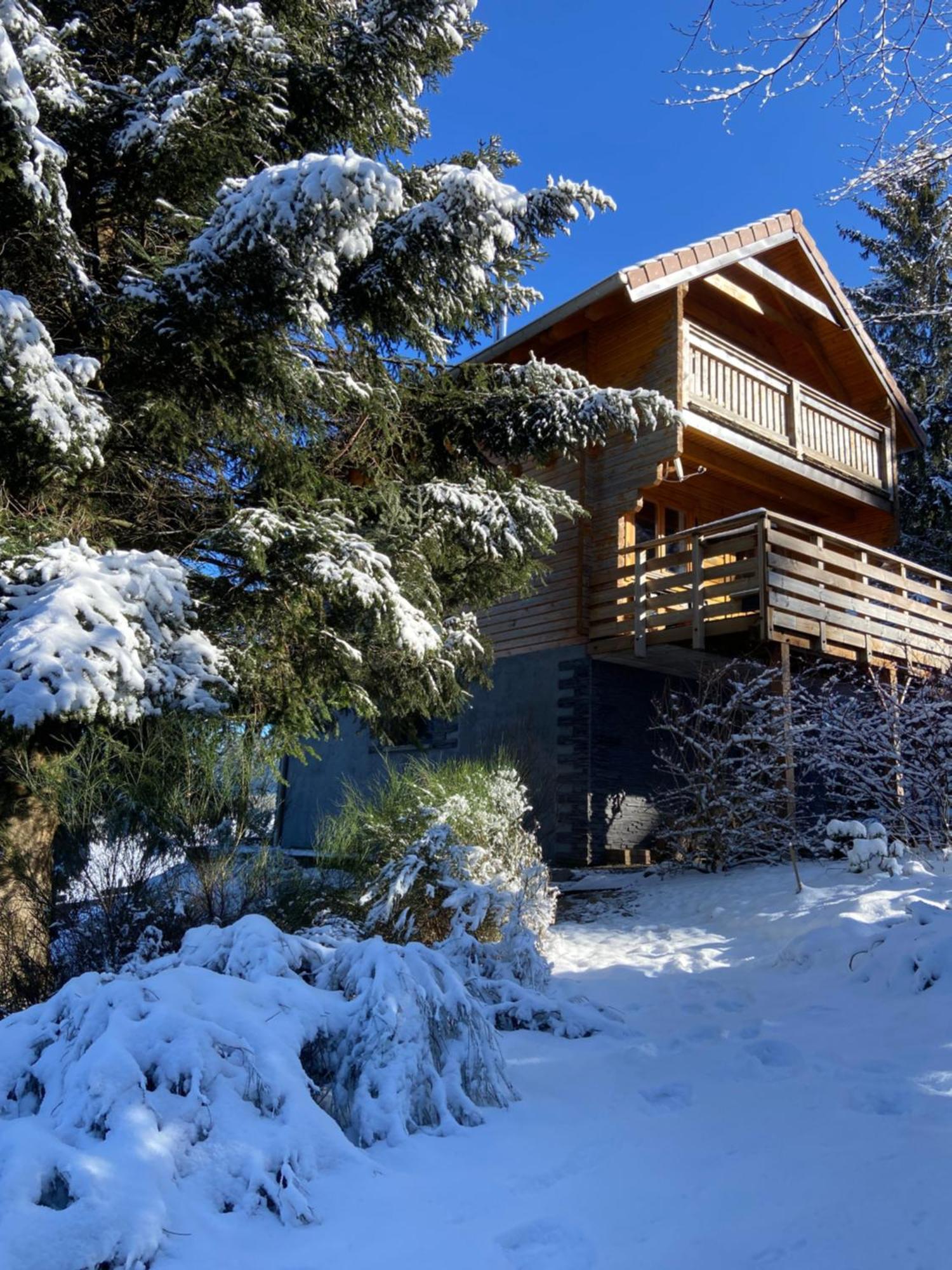 Chalet Authentique Au Calme, En Lisiere De Foret, Montagne, Sentiers 15Mn Gerardmer & Alsace "Chalet Mon Beau Sapin" Anould Ngoại thất bức ảnh