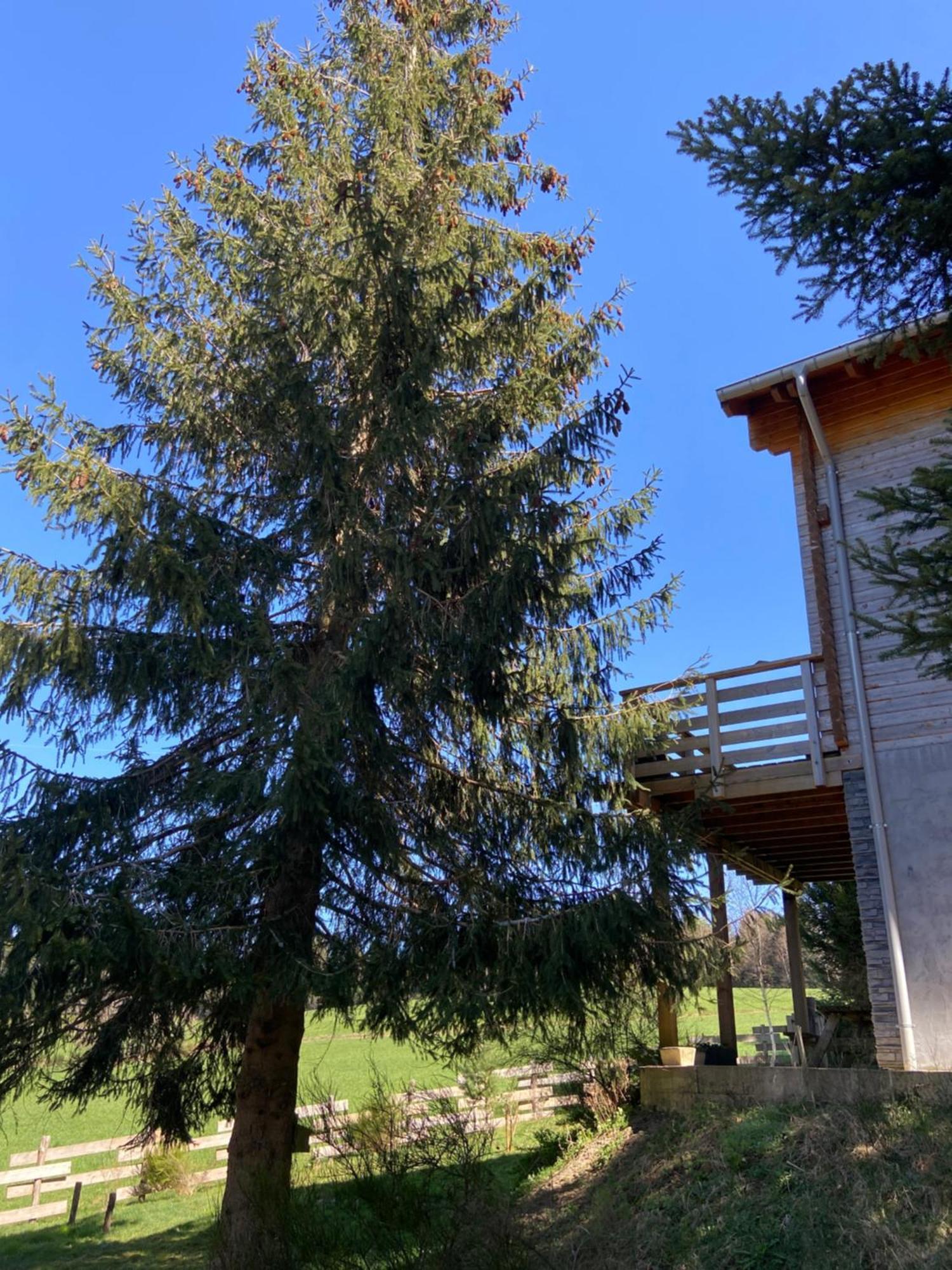 Chalet Authentique Au Calme, En Lisiere De Foret, Montagne, Sentiers 15Mn Gerardmer & Alsace "Chalet Mon Beau Sapin" Anould Ngoại thất bức ảnh