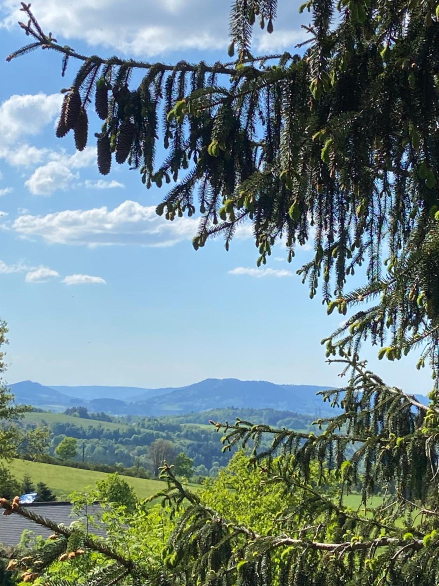 Chalet Authentique Au Calme, En Lisiere De Foret, Montagne, Sentiers 15Mn Gerardmer & Alsace "Chalet Mon Beau Sapin" Anould Ngoại thất bức ảnh