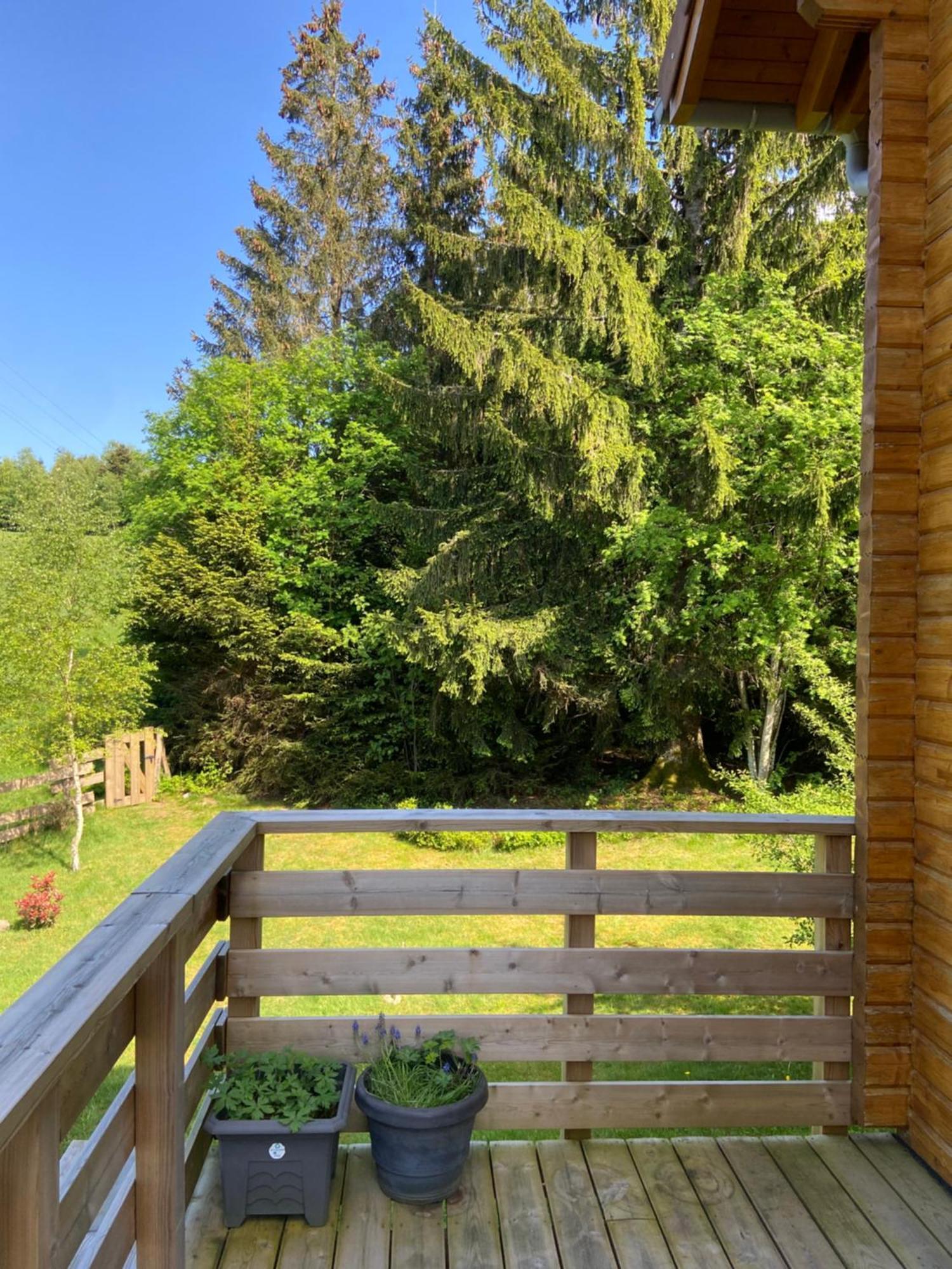 Chalet Authentique Au Calme, En Lisiere De Foret, Montagne, Sentiers 15Mn Gerardmer & Alsace "Chalet Mon Beau Sapin" Anould Ngoại thất bức ảnh